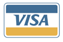 visa icon