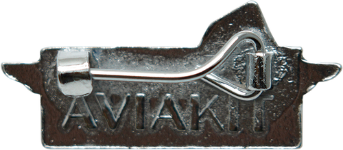 D Lewis Badge