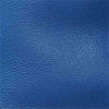 Horse Blue