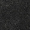 Sheep Black